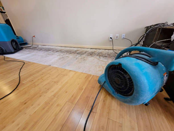 Professional Sewage Cleanup technician working in Steubenville, OH